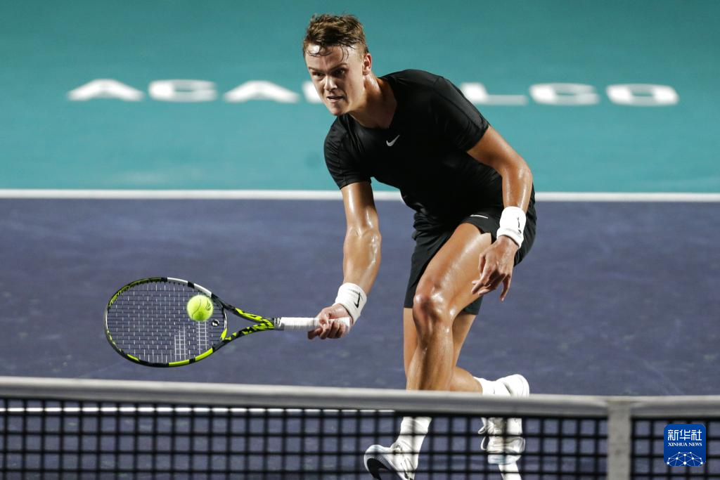 大的攻击力 大的攻击力